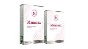 Mammax - onde comprar - no farmacia - no Celeiro - em Infarmed - no site do fabricante